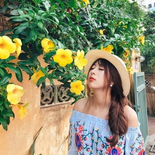 Pass váy hoạ tiết 250k