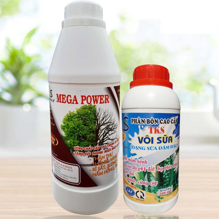 Phòng Trừ Bệnh Thán Thư, Vàng Lá, Rỉ Sắt, Phấn Trắng, Bã Trầu-MEGA POWER  Và VÔI SỮA