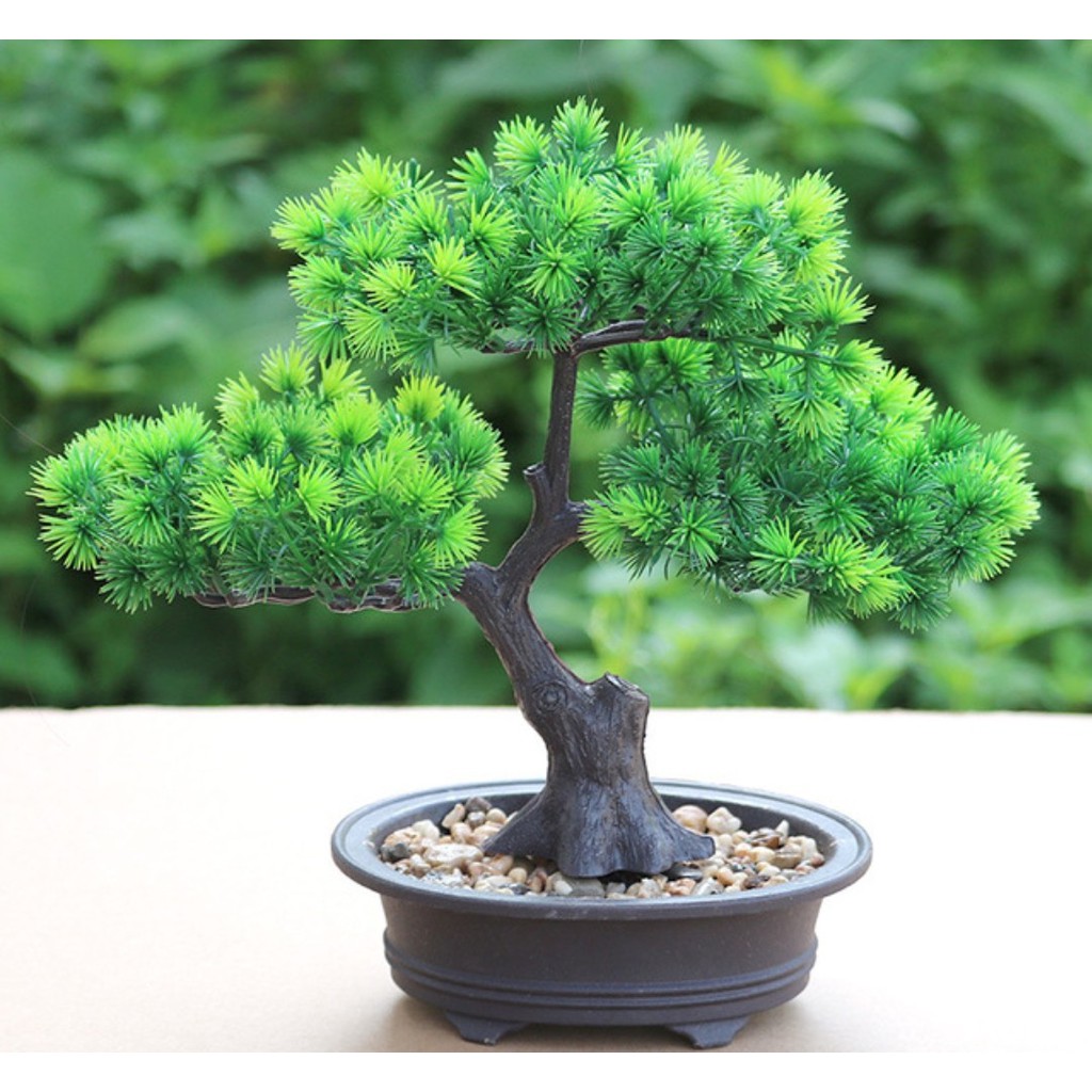 Cây thông giả, chậu cây cảnh bonsai trang trí để bàn, kệ tủ xanh mát tự nhiên CT-03