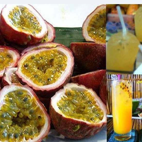 Hạt giống chanh dây tím ta 1 gói 20 hạt