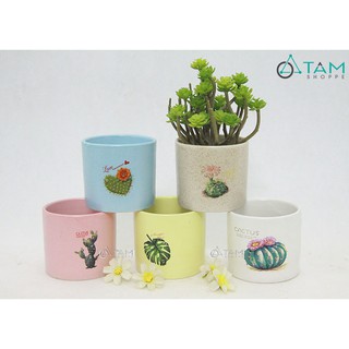 Chậu gốm mini trồng cây để bàn số 59 cao 8cm (không sọc) TTTM