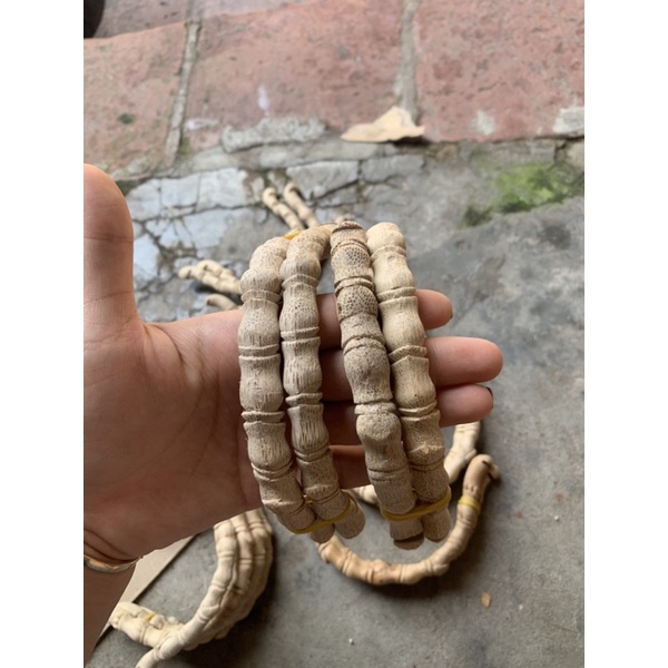 Cầu góc đôt trúc tre cho lồg mào vuông