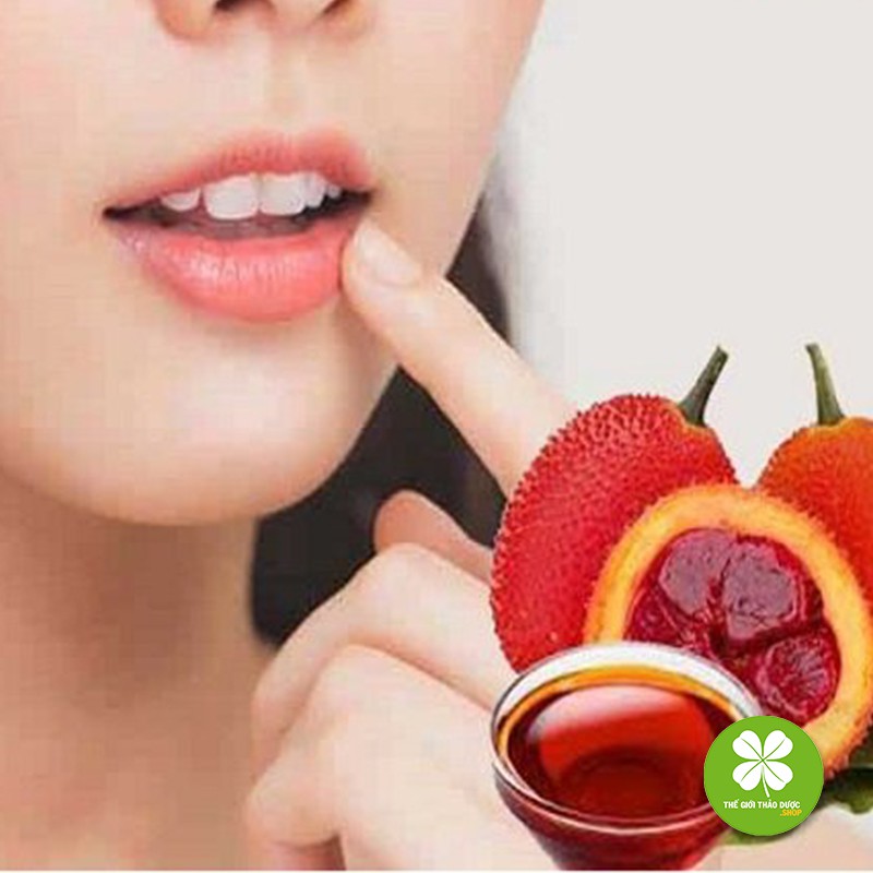 Lăn môi dầu gấc cho đỏ môi 1 chiếc 10ml - TD402 | BigBuy360 - bigbuy360.vn