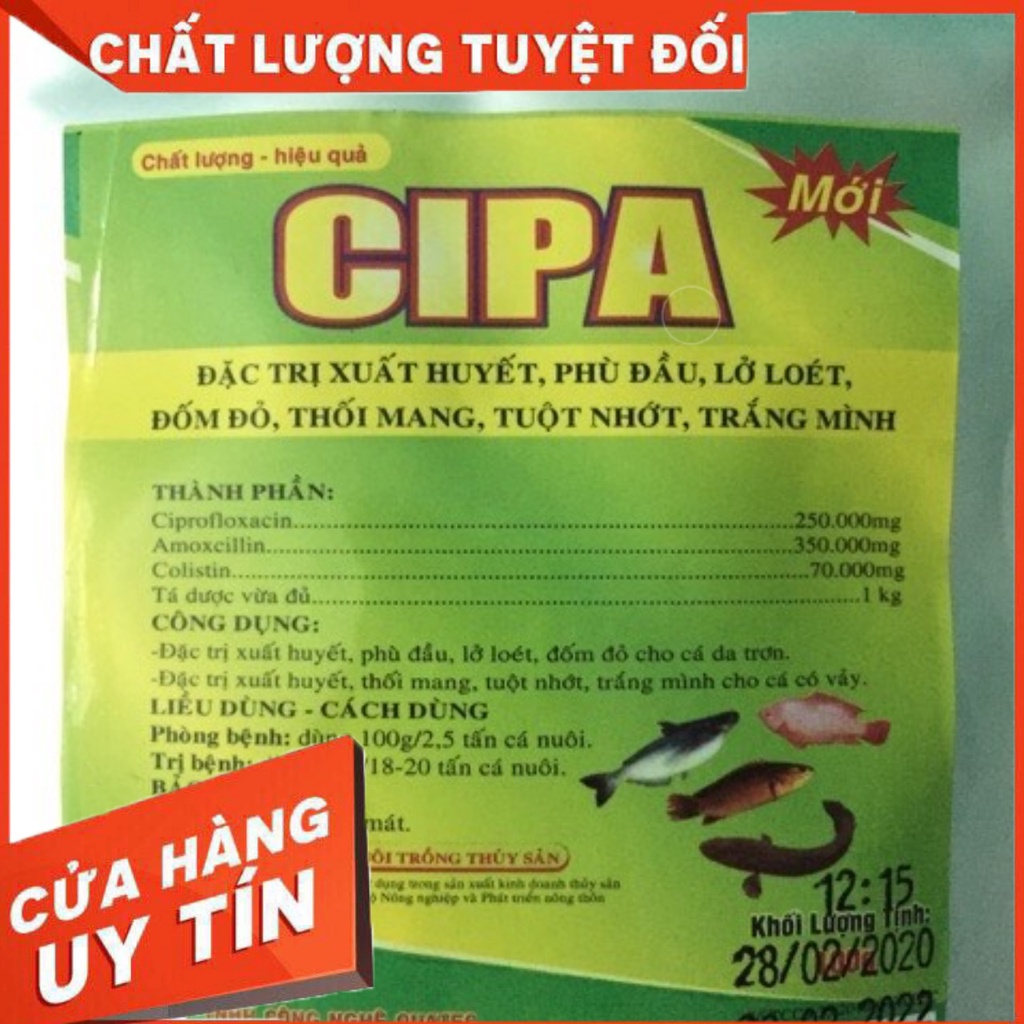 [TẶNG MÃ 50K] CIPA Đặc trị xuất huyết, phù đầu, lở loét, đốm đỏ, thối mang trên cá hiệu quả cao -Thuốc Thủy Sản Minh Tuệ