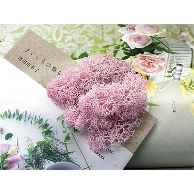 Rêu Các Màu Làm Trang Trí Handmade [MỚI]