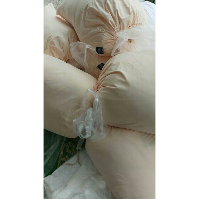 [ảnh thật] Ruột chăn tơ tằm lông vũ cao cấp giá rẻ