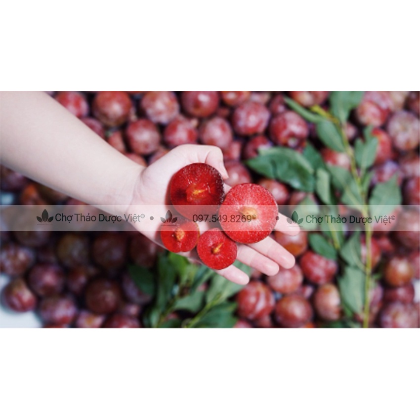 Ô mai mận không hạt dẻo ngọt 100g ( Mứt mận) - Chợ Thảo Dược Việt