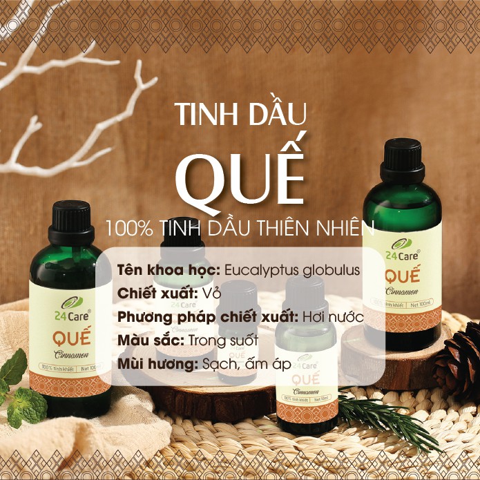 Combo 2 chai tinh dầu hữu cơ Quế + Bạc Hà 24Care -100ml/chai - xông phòng, thư giãn tinh thần