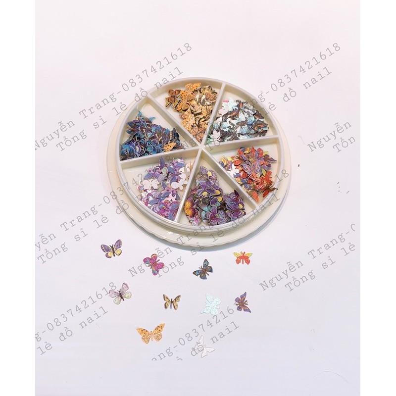 Set hoa bướm ẩn nail