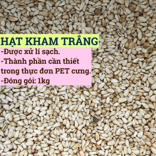 Hạt kham trắng (Safflower Seed)- thức ăn: Vẹt • Sóc • Hamster.