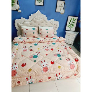 Set Chăn ga gối 5 món in hình chất đẹp