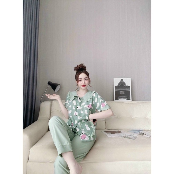 Bộ Bizama Bò Sữa