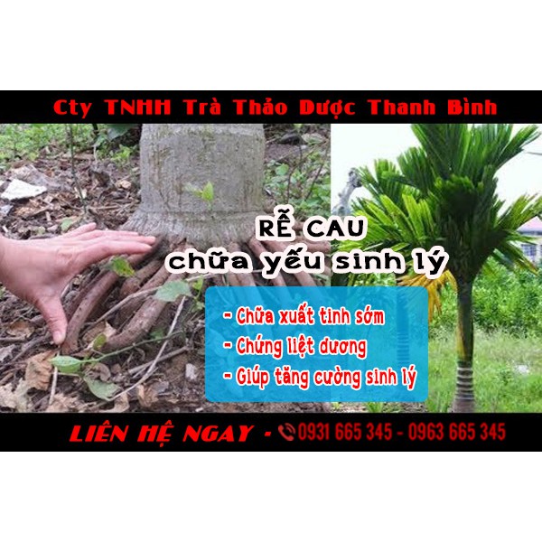 Rễ Cau Khô_1Kg Thảo Dược Thanh Bình