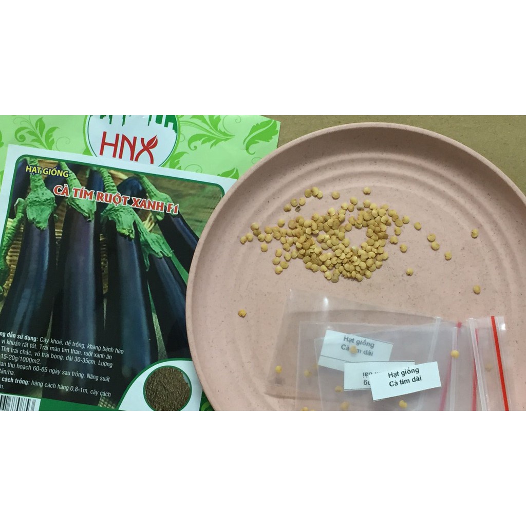 DEAL 1K TẬP LÀM VƯỜN - 5 hạt cà tím dài| Học làm vườn cùng Tạ Gia Trang