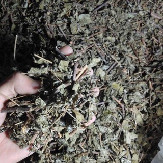 1kg Chè dây cao bằng sạch, nguyên chất . Hình Thật