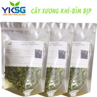 Cây Xương Khỉ