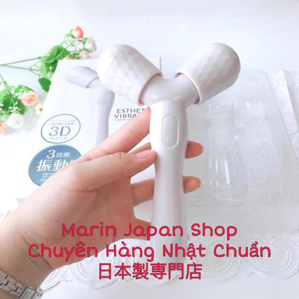 (Sale 1500k -->> 650k) Máy Massage 3D rung cầm tay Esthetic Vibration hàng nội địa Nhật Bản