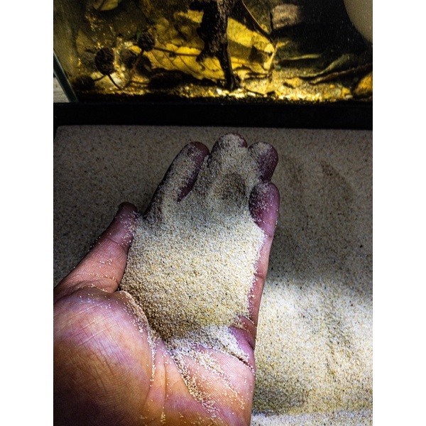 Cát Trải Nền Pearl Golden Sand Cao Cấp | Siêu Mịn| Bao 500GR-1KG | Trang Trí Trải Nền Bể Thủy Sinh, Biotope.