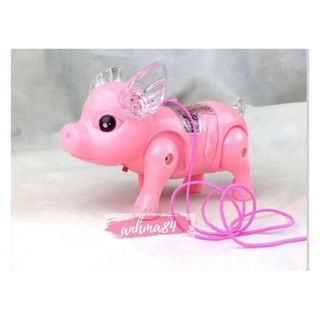 Heo xinh cute chạy bin phát nhạc