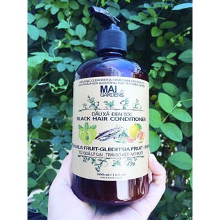 Dầu Xả Đen Tóc Từ Quả Lý Gai Ấn Độ