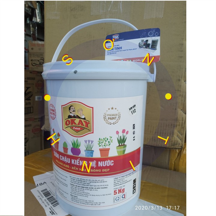 Sơn chậu kiểng hệ nước OKAY Lon 5kg