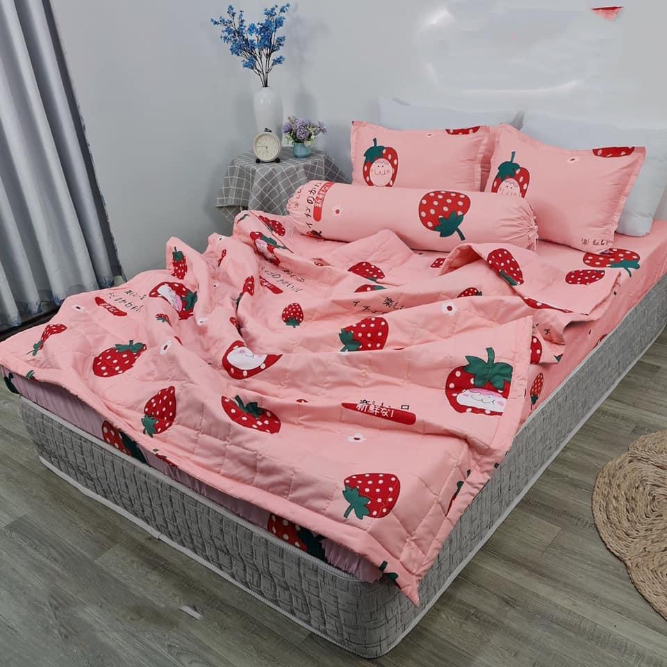 Bộ ga gối 3 món poly cotton mẫu con vịt