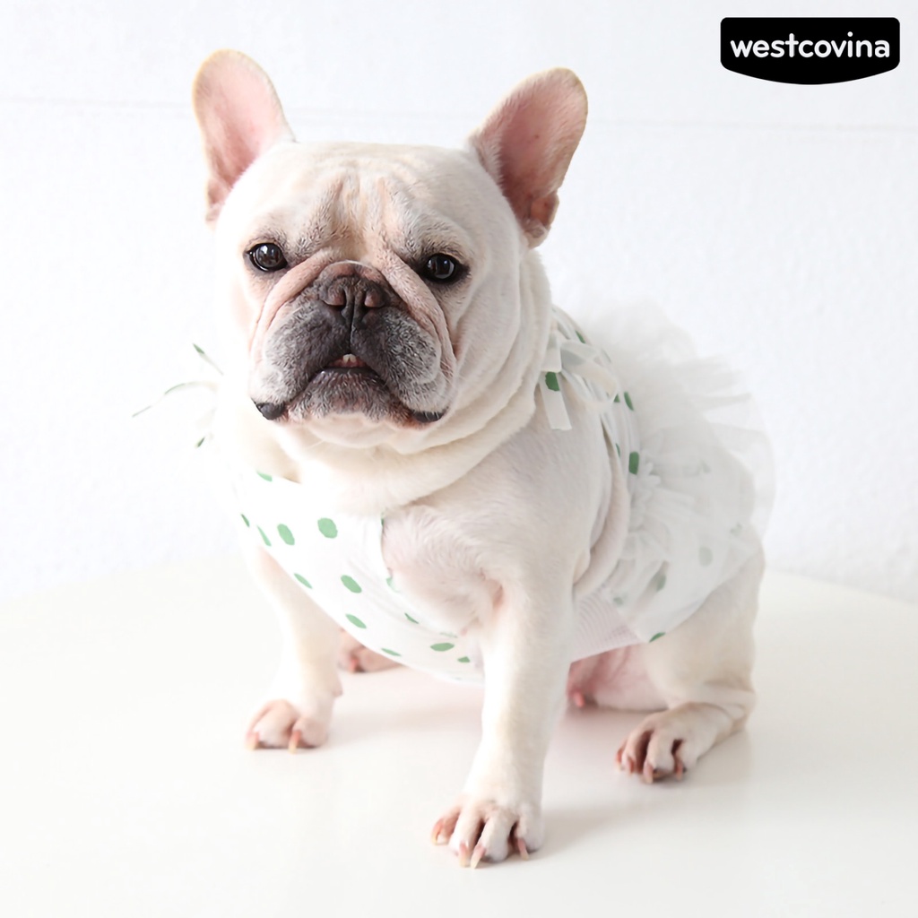 [Mới]♞Đầm Hai Dây Họa Tiết Chấm Bi Thời Trang Mùa Hè Cho Thú Cưng