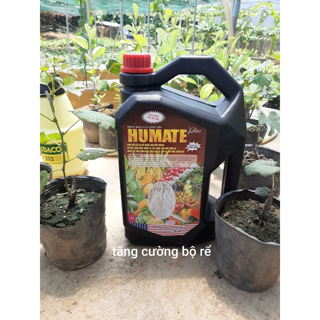 Phân bón Humic Humate vi lượng hữu cơ phục hồi cây ra rễ mạnh PB10
