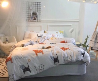 Set chăn ga gối cotton Hàn Quốc