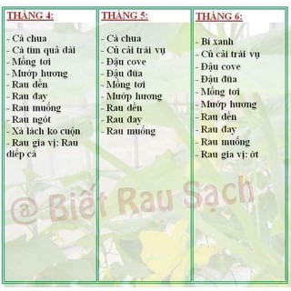 Hạt giống rau Mồng tơi