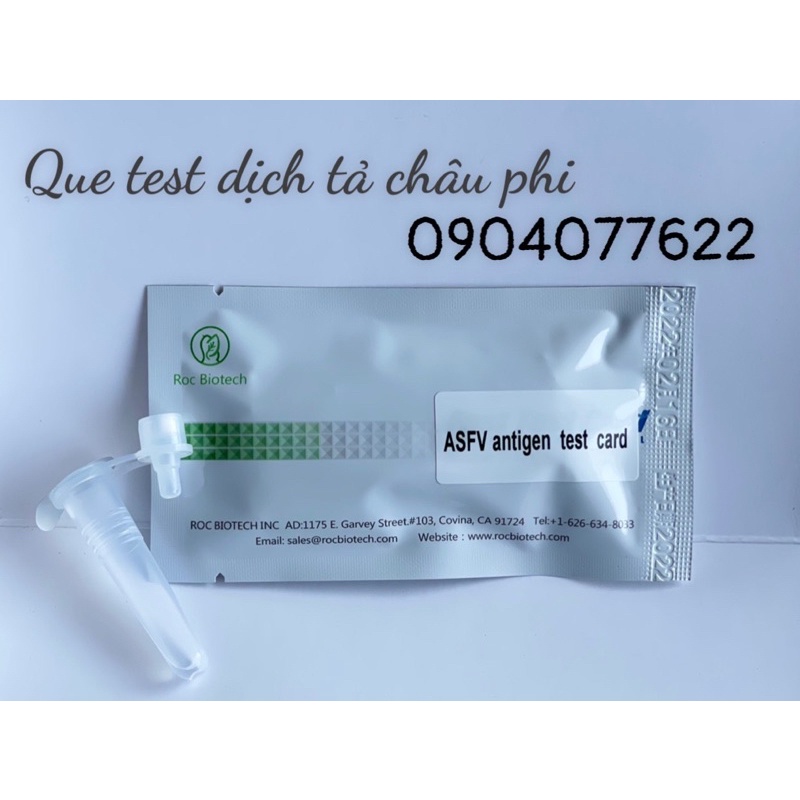Que Thử Nhanh Dịch Tả  Heo,lợn Châu Phi  🐖🐖🐖