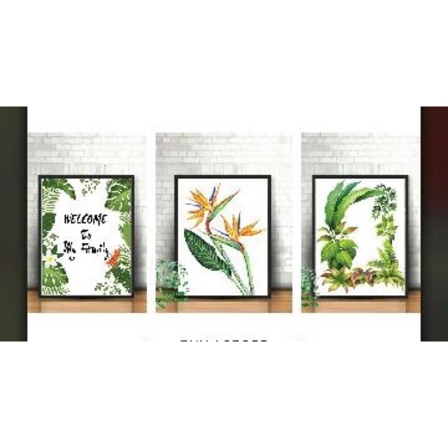 Combo 3 tranh canvas Tropical (kèm khung tranh)