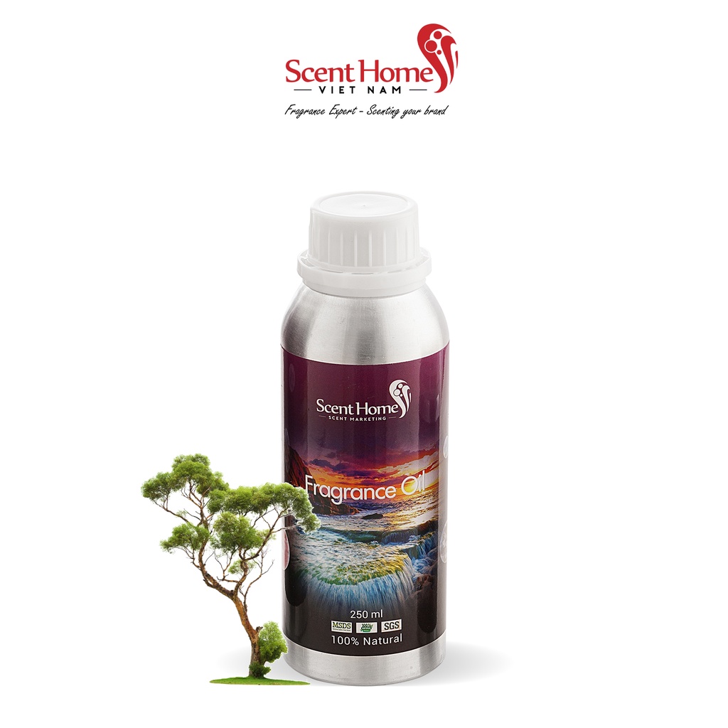 [Chính hãng] Tinh dầu Dream Tree- Scent Homes (Dream Tree - 50ml,100ml,250ml)