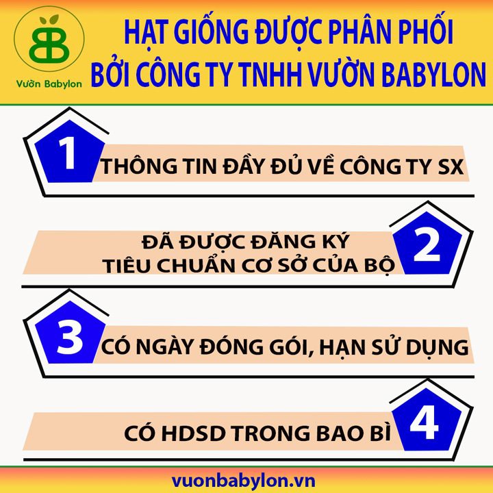 Hạt Giống Xà Lách Vàng Cao Sản 10Gr