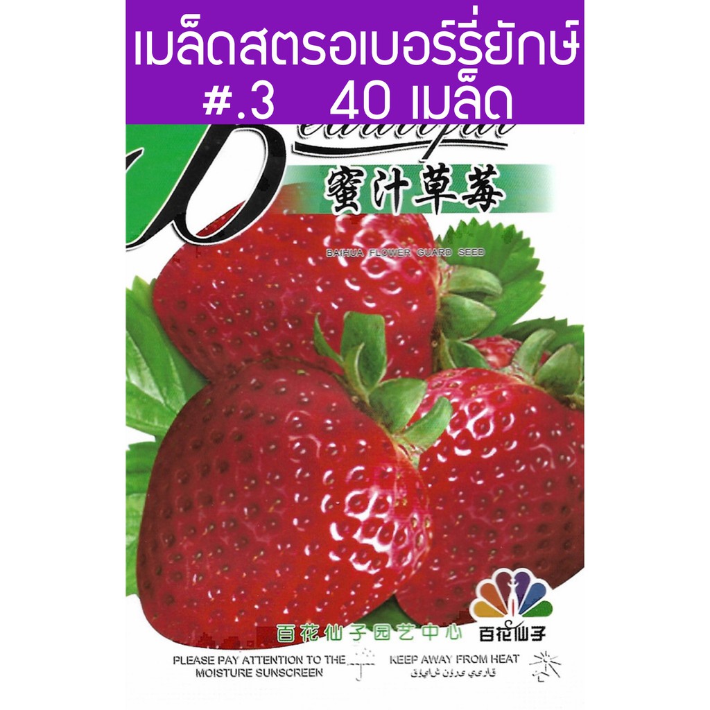 Hạt giống dâu tây sinh hoạt 40 hạt, giống OP **** Tìm hiểu cách trồng chi tiết **** SHOP MỚI KHYẾN MẠI GIÁNG SINH