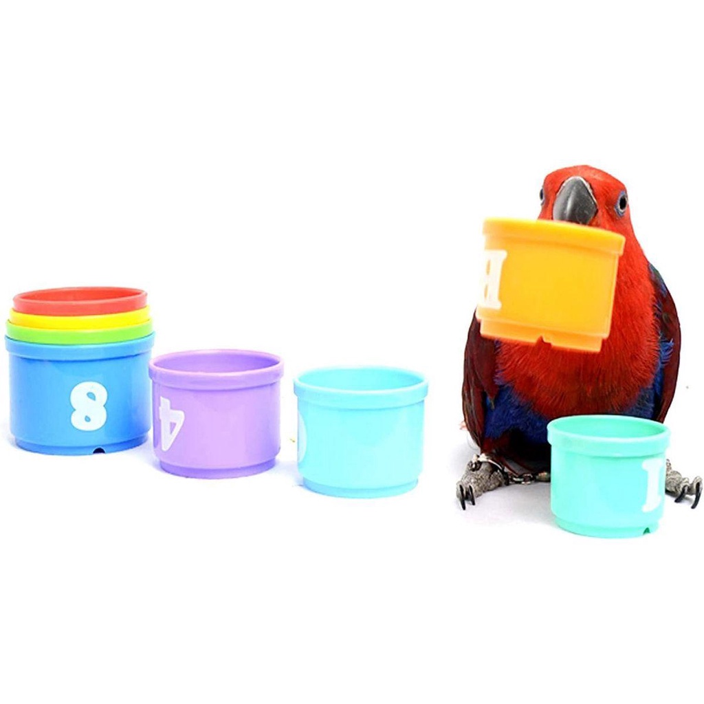 Đồ Chơi Tương Tác Thú Vị Cho Chim Cảnh