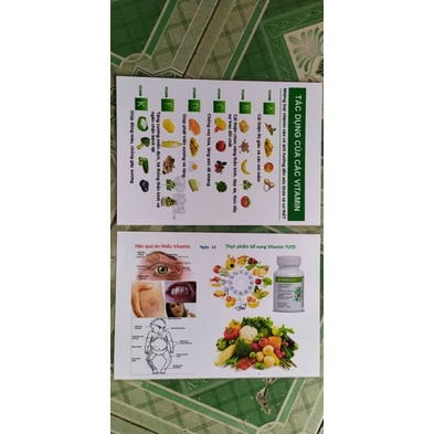 Tờ A4 ép plastic trang trí nhóm dinh dưỡng
