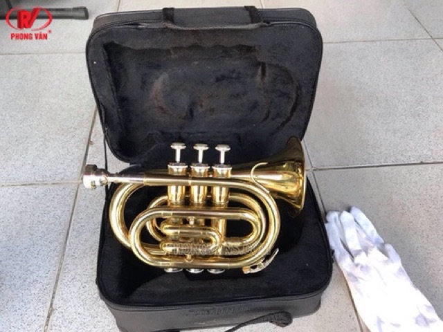 Kèn trumpet lùn Yamaha vàng