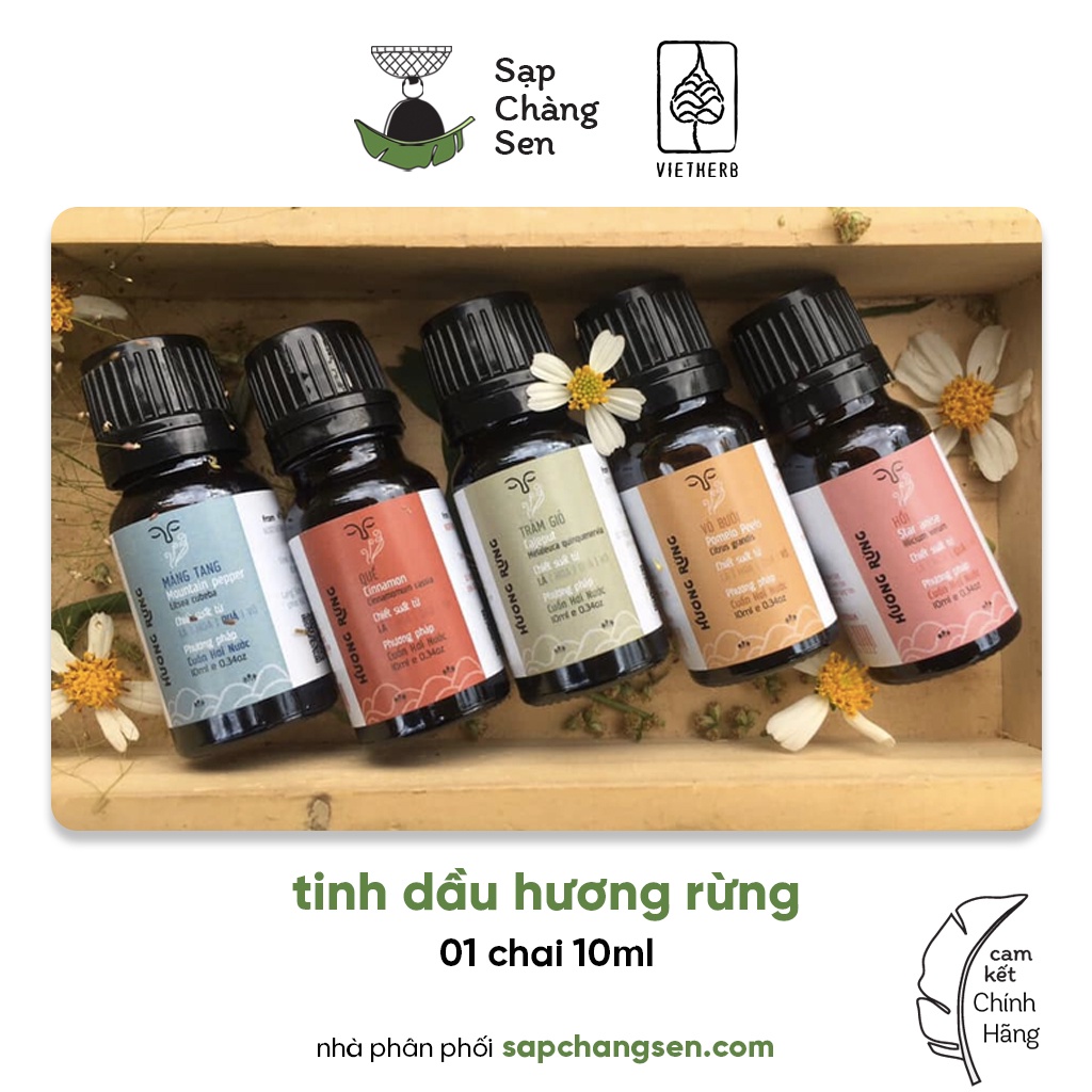 Tinh dầu Hương Rừng (Vietherb) - 10ml | hồi, màng tang, tràm, bưởi, quế