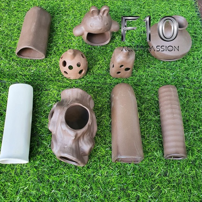 Đồ Chơi Tép - Hang Pleco - Hang Trú Cho Cá Tép - Trang Trí Hồ Cá Hàng Mới Cập Nhật