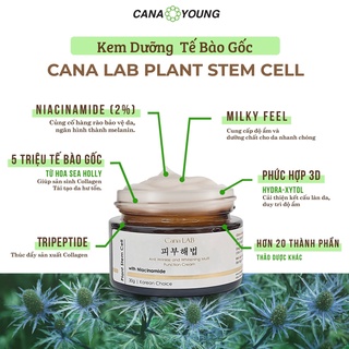 Kem dưỡng tế bào gốc trẻ hóa da - chống lão hóa - dưỡng trắng Cana Plant Stem Cell with Niacinamide