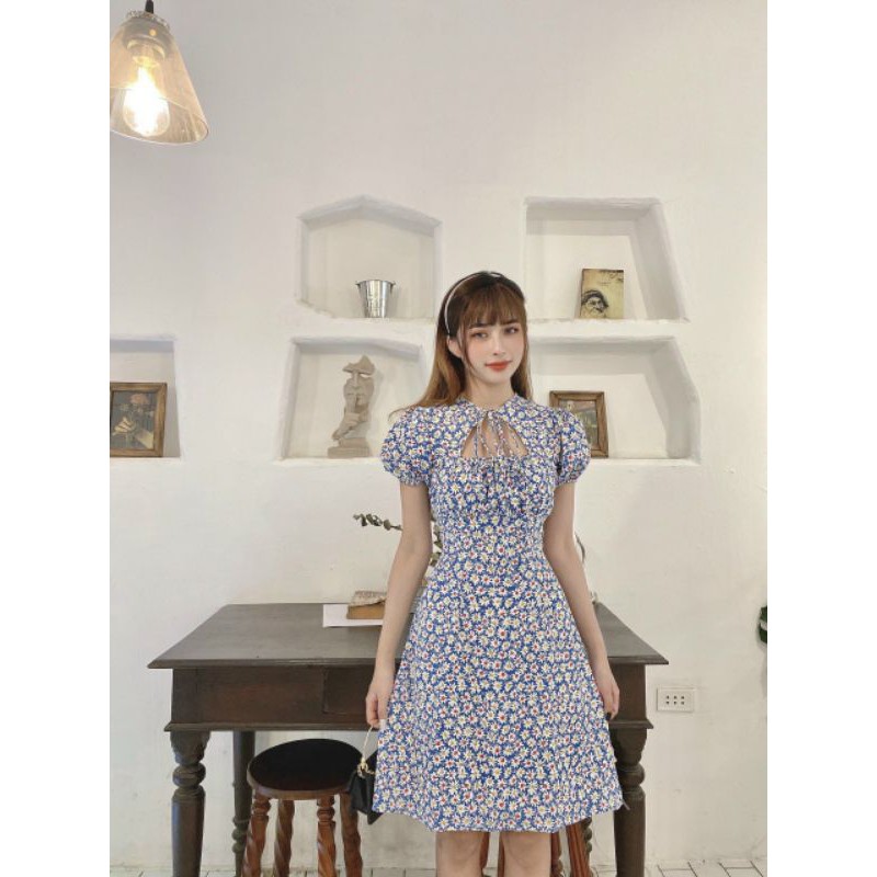 Đầm hoa nhí cắt ngực