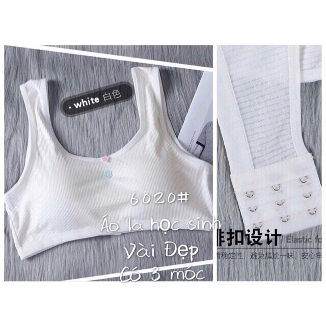 Áo Bra Học Sinh Cotton Tăm Có Móc Cài Sau MS6020