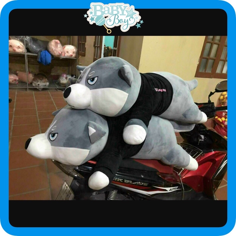 Gấu bông cho Husky siêu to khổng lồ- gối ôm chó ngáo size 1m1 -1m5 hình thật kèm video