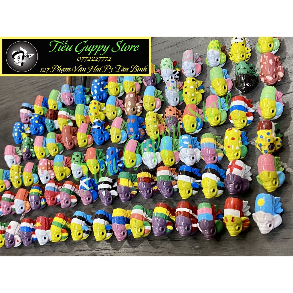 Cây Kè Cá Betta Nhiều Màu Sắc (Mẫu chọn ngẫu nhiên)