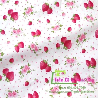 Vải thô kate lụa 🍓 v163