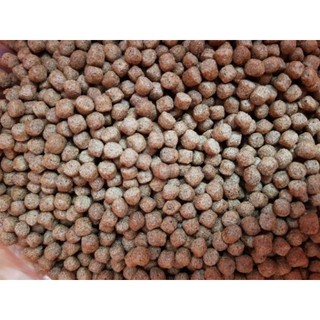 cám cá VASACOL FISH đạm 30% (1kg)