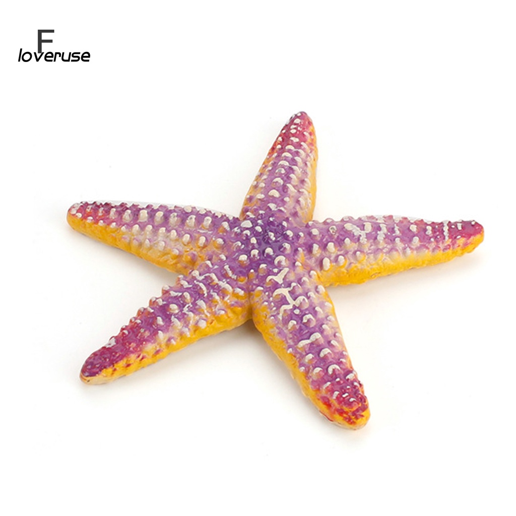 Đồ trang trí Sao Biển / Mực / Tôm Giả Trang Trí Sinh Động