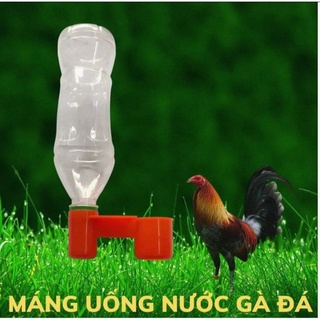 Cóng nước c2 cho gà, chim 10 cái