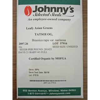Hạt giống Cải hoa hồng Mỹ - tỷ lệ nảy mầm 95%